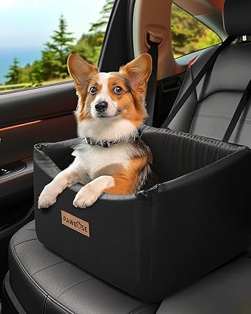 Siège auto pour chien