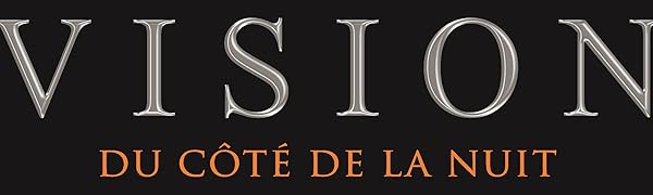 Logo VISION