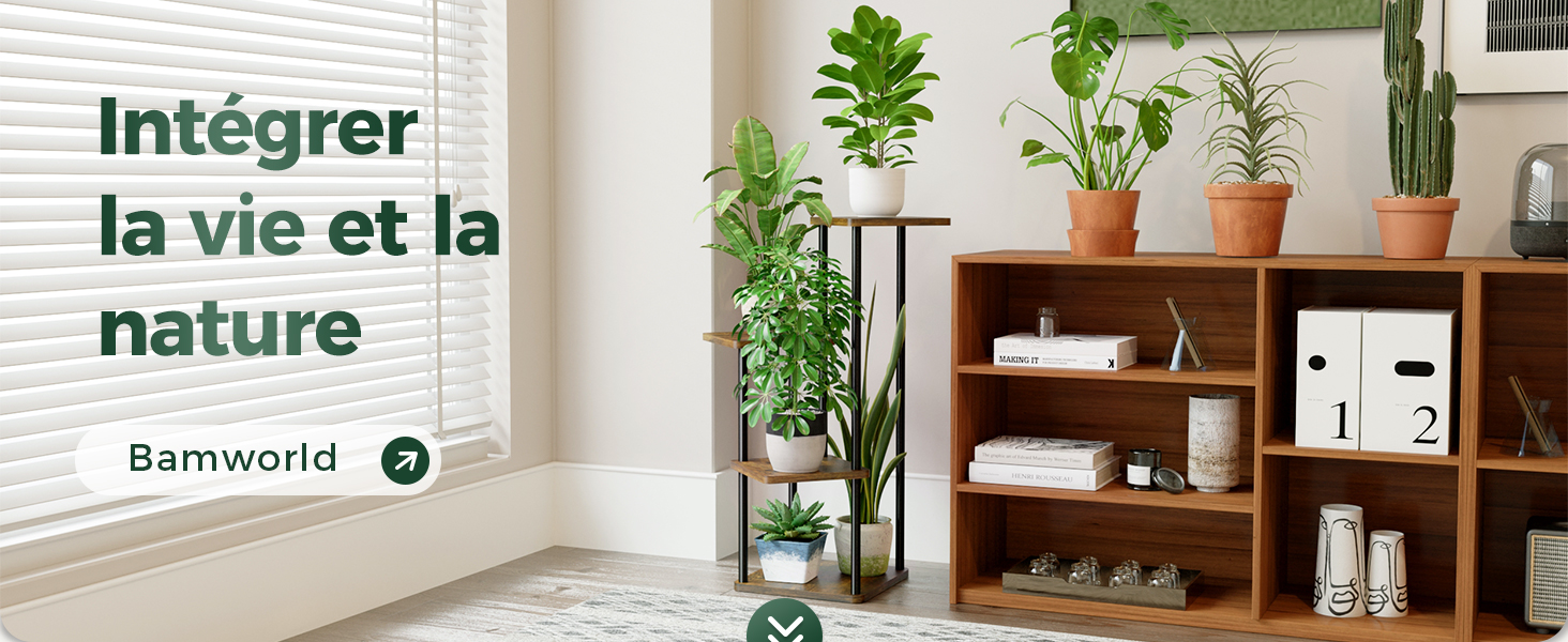 support plantes interieur porte plante interieur étagère plante
