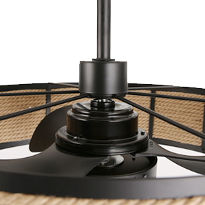 ceiling fan motor