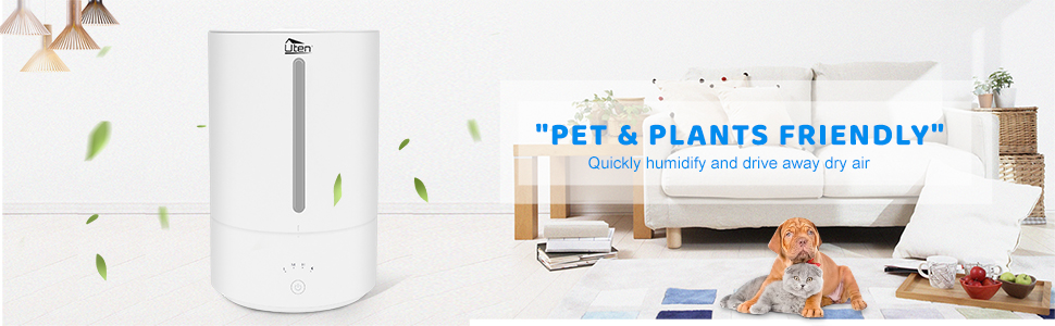 humidificateur