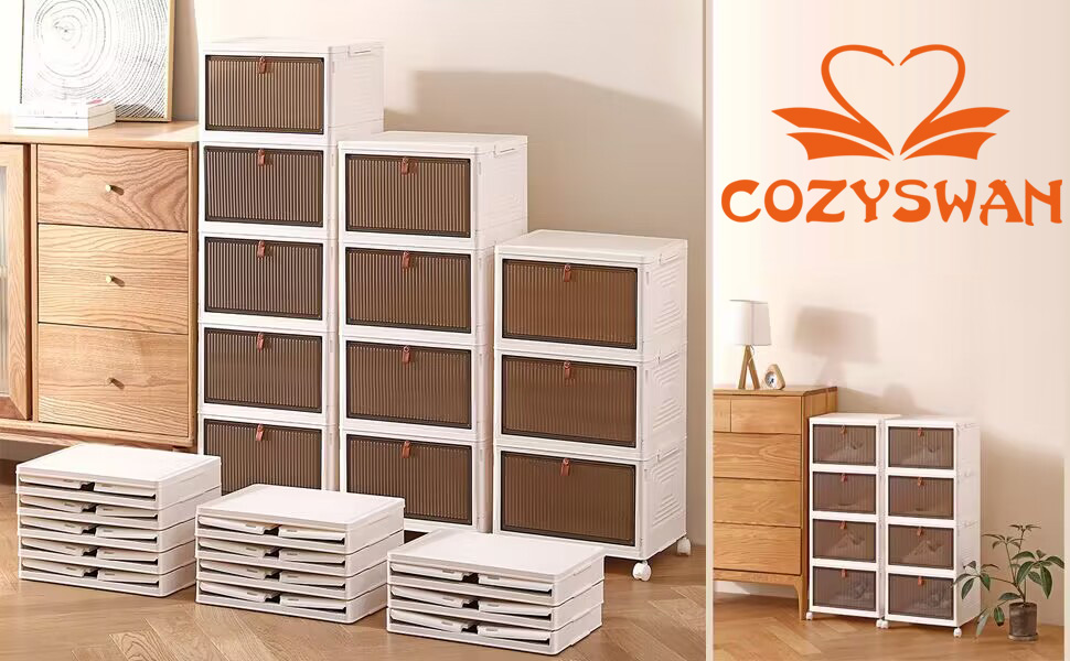 cozyswan