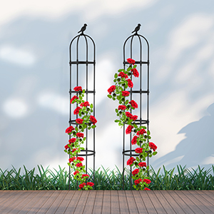 support pour plantes grimpantes 160 cm