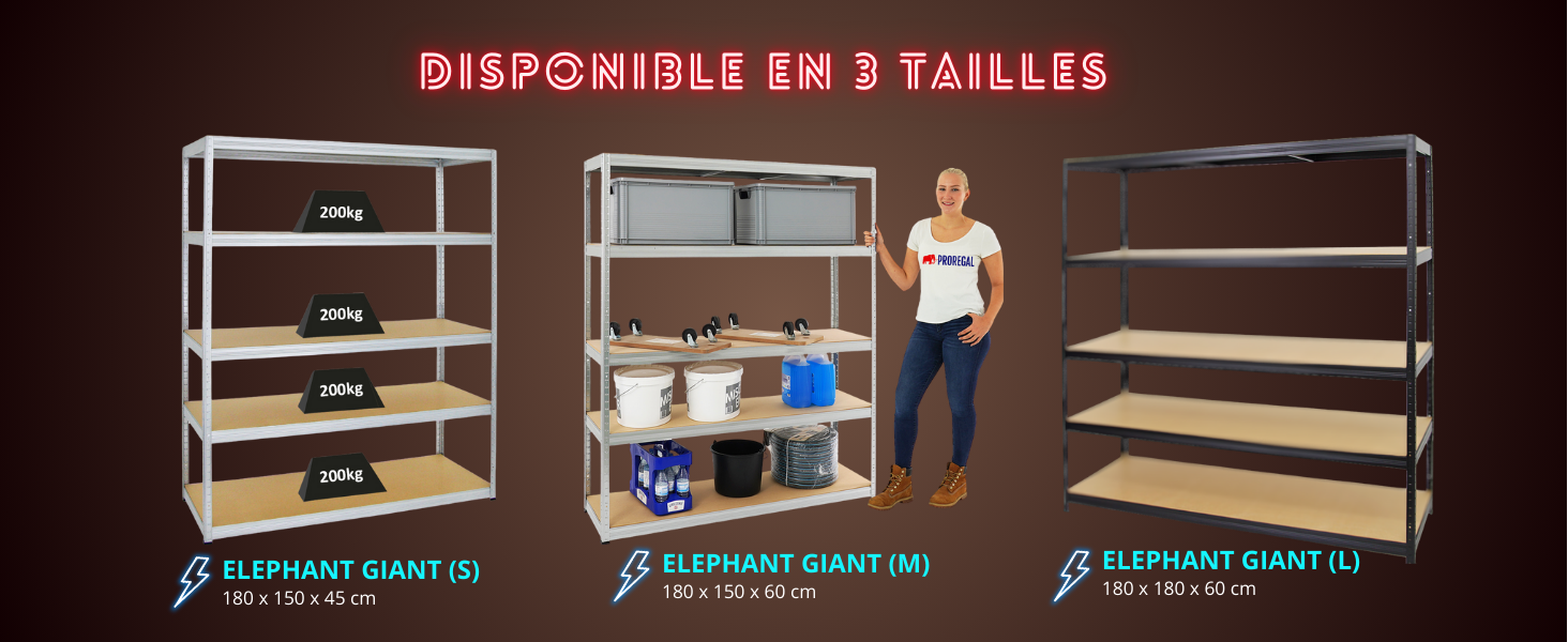 Disponible en 3 Tailles 