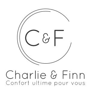 charlie finn beanbag bean bag