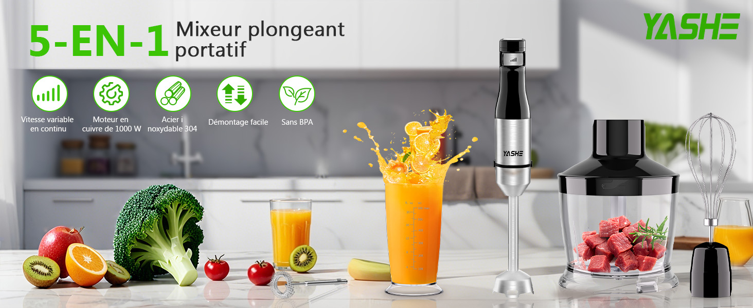 Mixeur plongeant portatif