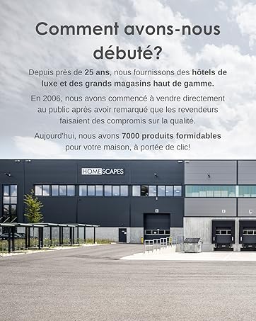 Comment Homescapes a-t-il commencé ?