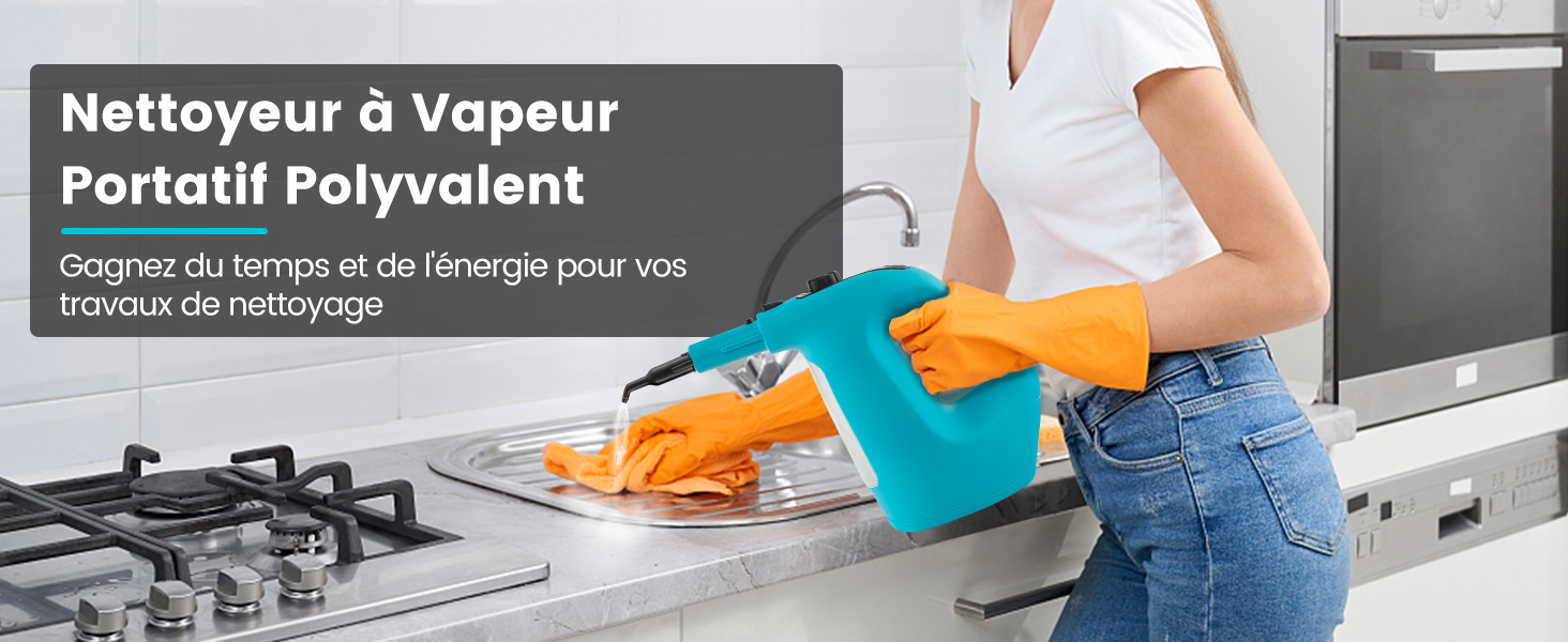 Nettoyeur Vapeur Portatif