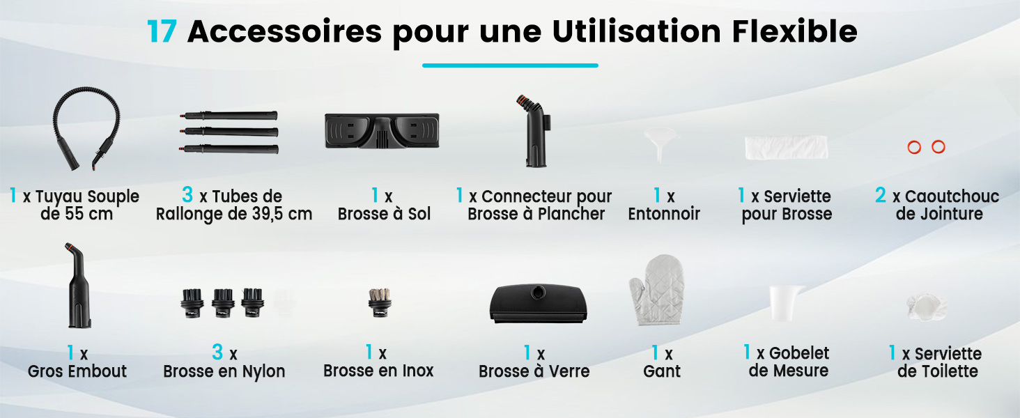 Nettoyeur Vapeur Portatif