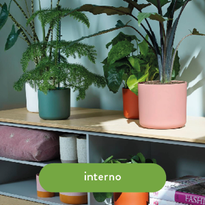 Elho Pot de fleurs intérieur durable en plastique