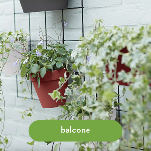 Elho Pot de fleurs intérieur durable en plastique