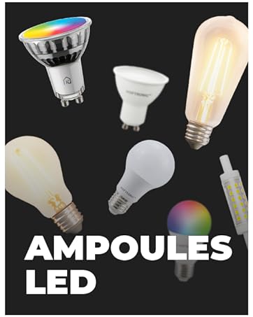 Ampoules LED