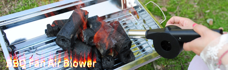 Ventilateur Barbecue Manuel