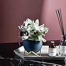 Décoratif Vases