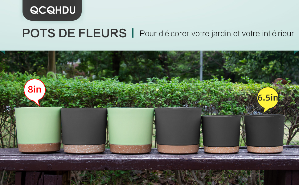 plant pot
