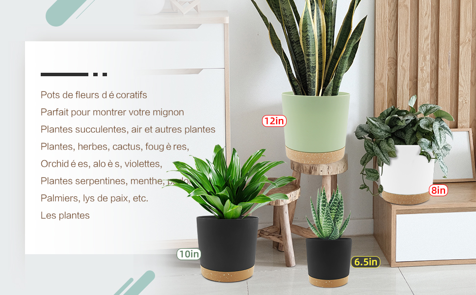 plant pot