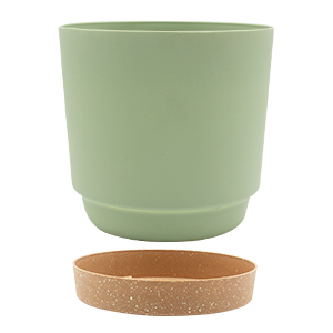 plant pot