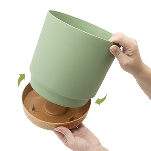 plant pot