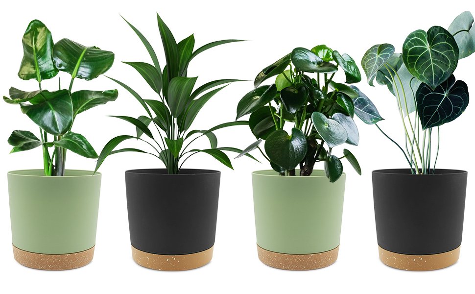 plant pot