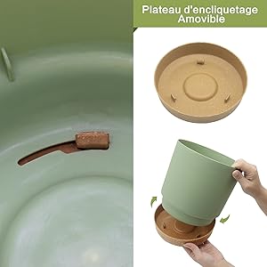 plant pot