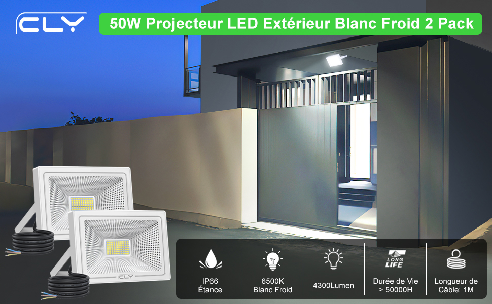  Projecteur LED Extérieur 50W