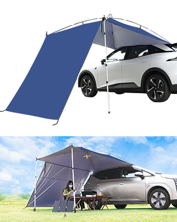  2025