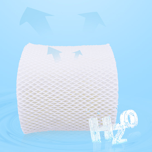  2025
